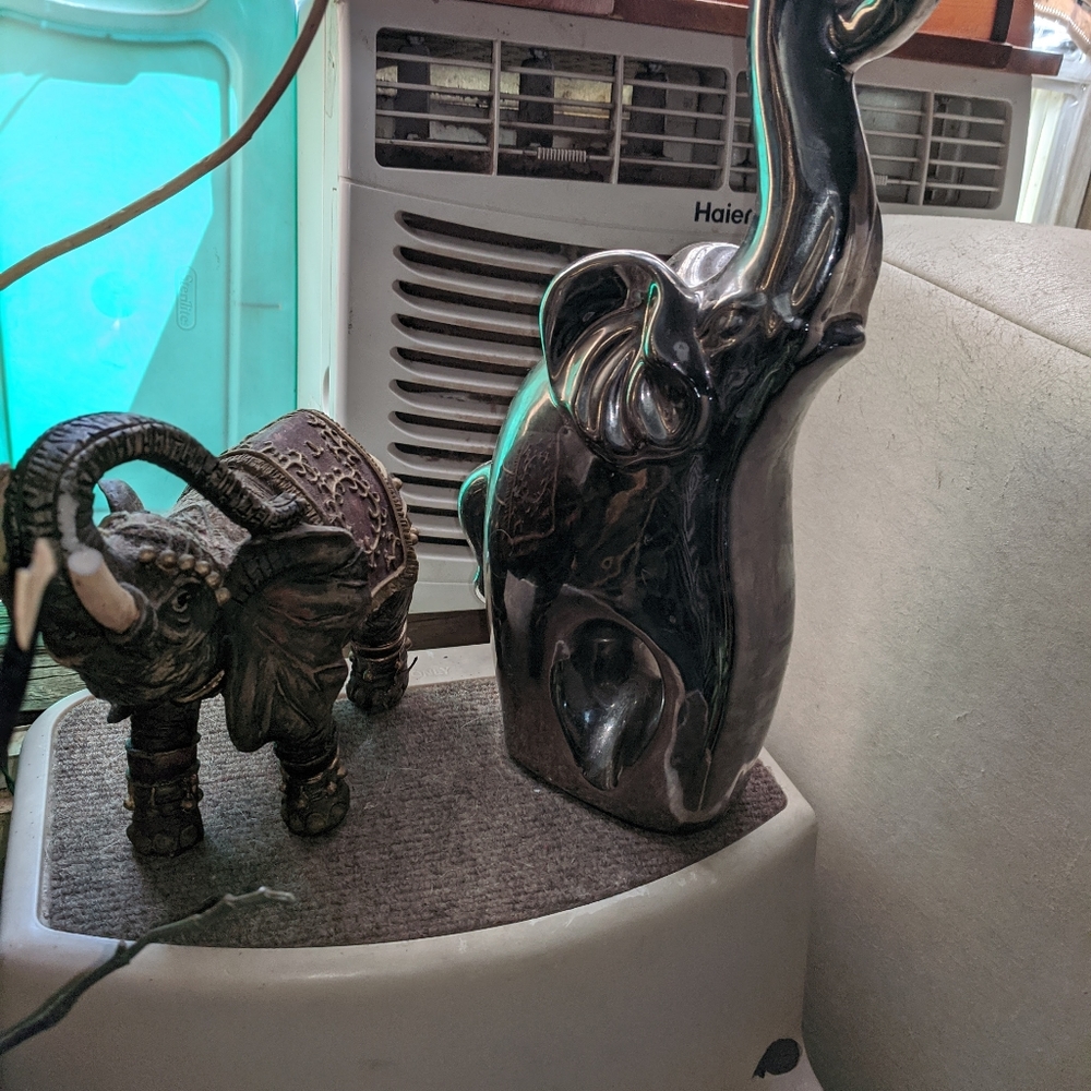 Elephants - Picture 3 of 15